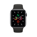 Series 5 Smartwatch (Stainless Steel/WiFi) | All-Out Mobile.